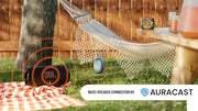 JBL Clip 5 Ultra-Portable Waterproof Bluetooth Speaker with 12-Hour Playtime and Auracast - Pink